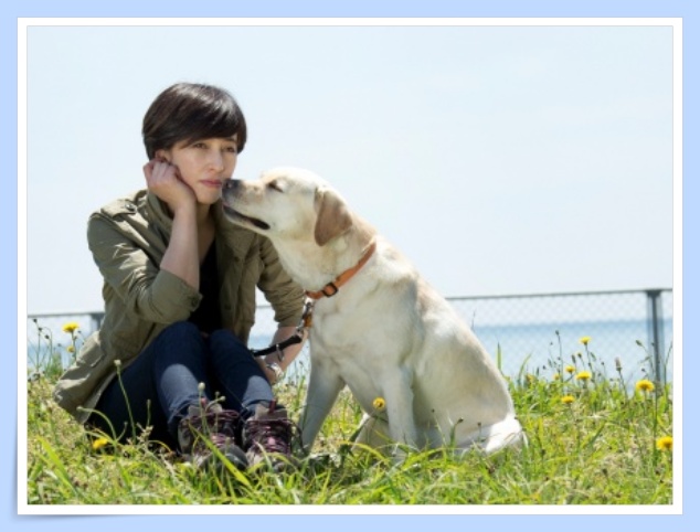 【画像】滝川クリステルのラブラドールは結婚も呼ぶ幸せの保護犬？